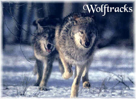 wolftracks!